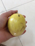 卡布诺海南黄金百香果甜种钦蜜9号黄色百香果特大鸡蛋果新鲜应季水果 3斤特大果精品装【彩箱】单果90g+ 实拍图