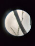 萨伽（SAGA） 观雀2代望远镜高倍高清变倍观鸟镜观靶镜手机微光夜视赏月 80高清版+手机夹：接手机 实拍图