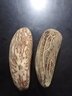 淘运阁【精品千眼菩提子新果】原籽原料天然绿果白果大果胖果文玩手把件 畸形果8厘米5个送砂纸抛光 实拍图