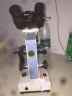 凤凰（phenix）双目生物显微镜XSP-36光学放大1600倍专业高清学生科学实验家用畜牧养殖专用 连接电脑套餐二：特配+500万像素电子目镜 晒单实拍图