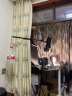 金貝（JINBEI）SPARK-400D影室闪光灯摄影棚写真服装人像证件照摄影灯电商静物产品拍照灯拍摄400w补光灯 实拍图