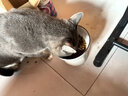 乐摩（lemo）乐摩 植萃低温烘焙猫粮全价全阶段幼猫成猫通用全期天然无谷猫粮 天然植物萃取烘焙猫粮2kg 实拍图