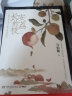 马伯庸作品集新作 食南之徒  全套22册太白金星有点烦长安的荔枝大医长安十二时辰显微镜下的大明风起陇西古董局中局三国机密三国配角演义七候笔录马伯庸笑翻中国史龙与地下铁小说系列单本套装可选 套装：太白金 实拍图