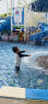 木马谣（momasong）沙滩防晒儿童泳衣男童分体速干衣温泉舒适中大童男孩游泳装备 长袖款 7（适合身高105-115CM 晒单实拍图