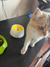 Yogi韩国进口Yogi宠物狗狗喝水碗泰迪饮水器猫水盆防打翻不湿嘴浮力碗 抑菌水碗300ML 推荐10斤以内 实拍图