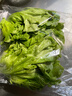 【本地鲜】青浦鲜生菜 400g 实拍图