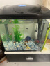 森森（SUNSUN） 鱼缸水族箱金鱼缸带灯鱼缸过滤器玻璃鱼缸桌面鱼缸 黑色 高清玻璃HR-380+造景五（带18件） 实拍图
