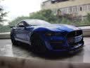 美驰图 1:18 2020款 福特野马GT500谢尔比眼镜蛇合金汽车模型车模 收藏 金属蓝条纹款 实拍图