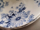 美浓烧（Mino Yaki） 日本原装进口 美浓烧陶瓷碗碟餐具套装 花集套装 10头 晒单实拍图