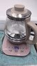 小熊（Bear） 煮茶器喷淋式煮茶壶养生壶加厚玻璃黑茶办公室蒸茶器小型泡茶炉迷你电热烧水壶保温一体0.8L ZCQ-A08H2 玻璃面板 0.8L 实拍图