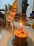 布丁喵喵 宠物生日围兜生日帽 黄色【赠贴纸生日蜡烛】拍照装饰生日派对 实拍图