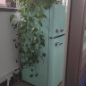 惠康（HICON)冰箱小型家用单人宿舍冷藏冷冻双开门电冰箱二人租房小冰柜彩色复古小冰箱 薄荷绿 BCD-131M 实拍图