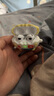 京苑 适用于AirPods Pro二代保护套 AirPods4四代 苹果耳机套三2代卡通宝可梦airpods pro3硅胶软壳 【波克比】 苹果AirPods 3保护套 实拍图