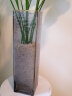 吕姆克玻璃花瓶插花瓶水养鲜花干花高档金边水波纹花瓶大号高30cm5494 实拍图