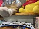兼容乐高积木拼装8-16岁电动超长火车成人款大型男孩儿童玩具模型 和谐号高铁列车【474颗】 晒单实拍图