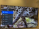 小米电视 65英寸2025款 120Hz 2+32GB 4K超高清 小米澎湃OS 金属全面屏平板电视Redmi A65 L65RB-RA 晒单实拍图