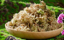 绿盼优质养蝴蝶兰专用干水苔藓毛毛虫种植用植物盆栽造景微景观乌龟 实拍图