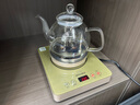新功（SEKO）底部自动上水烧水壶茶具套装电热水壶玻璃电茶壶W13 玻璃养生壶电水壶W13 实拍图