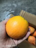 田园东方湖北秭归橙子 应季新鲜水果纽荷尔脐橙 带箱毛重 伦晚脐橙5斤小果（12-18个） 晒单实拍图