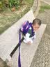 UEK 防走失书包1-3岁幼儿园小书包男女孩宝宝防走丢可爱儿童双肩书包 小火箭紫色1-3岁 实拍图