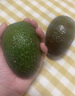 橙小士进口牛油果水果墨西哥秘鲁巨无霸鳄梨应当季宝宝水果辅食 中果两粒装 单粒130-160【g】 实拍图
