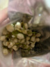 茉莉花茶茶叶新茶2023干花苞散装茉莉花苞烘青绿茶茉莉针王鲜花花苞 茉莉花苞20克【袋装】【无香味】 实拍图