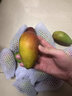 探味君 海南贵妃芒 应当季时令青红金龙热带新鲜水果小芒果整箱批发 净重4.5-5斤 【中果】单果100-150g 实拍图