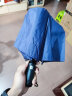 天堂 全自动雨伞三折 10骨加固一键开收易甩干简约晴雨伞 紫兰 实拍图