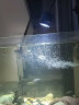 KAISER REEF凯撒射灯原生南美异形鼠鱼缸三湖水草龟缸LED 射灯夹灯观赏鱼缸灯 30度透镜（10W射灯专用） 实拍图