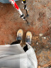 迪卡侬登山鞋女户外防水运动鞋春夏爬山徒步鞋女士ODS银灰色36-4270187 晒单实拍图