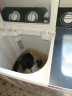 申花（SHENHUA）12KG双缸双桶洗衣机半自动 大容量家用商用脱水甩干机强劲动力洗大件XPB120-186GT灰 实拍图
