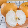 京鲜生 青青大地莱阳羊脂秋月梨4.5斤 6-9个梨子礼盒 水果 晒单实拍图