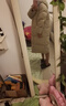 鸭鸭（YAYA）奢金系列羽绒服女长款过膝2024冬季新款加厚保暖时尚情侣外套XJ 卡其色 S 155/80A 实拍图