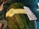藤上熟吊秧小西瓜1粒1.25kg 实拍图