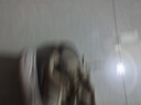 加洲公牛（CALIFBULL）休闲鞋男鞋夏季男士低帮板皮鞋软底百搭运动工装鞋子男沙色43 实拍图
