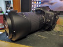 佳能（Canon）EOS 90D 单反相机 单机身 （约3250万像素/约11张每秒高速连拍） 实拍图
