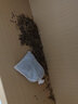 维诺亚茶叶梗去甲醛除味茶梗包去味吸异味新房家用新车痋茶骨根散装直发 10斤茶梗【四十个分装袋】 实拍图