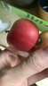 嗯嗯乐新西兰试管火箭小苹果Rockit Apple新鲜进口苹果水果 2筒290g家庭装 实拍图