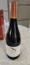 芫桐（YEETOO） 庄园智利原瓶进口红酒 珍藏级干红葡萄酒 1892酿酒世家 750mL 黑皮诺单支 实拍图