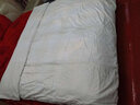 太湖雪蚕丝被芯加厚100%双宫茧桑蚕长丝子母被二合一抗菌秋冬单双人沁柔 空调被【桑蚕丝净重1斤】 纯净白200*230cm【抗菌全棉】 实拍图