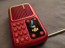 熊猫（PANDA）S1收音机老人插卡音箱老年唱戏机听戏听歌戏曲播放器老年人专用半导体小广播音乐播放机便携式音响 红色+【8G内存卡】+充电头 实拍图