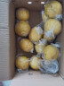 绿鲜森柚子纯甜黄金贡柚新鲜现摘当季水果生鲜礼盒 带箱10斤（单果约70mm） 实拍图