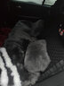 达令河汽车坐垫冬季纯羊毛澳洲皮毛一体加厚保暖长羊毛坐垫单个座椅垫套 Y75灰色（六件套） 实拍图