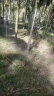 镀锌铁丝网勾花网果园围栏网养殖鸡鸭狗牛羊护栏网隔离网栅栏定制 1.2米高30米长8厘米孔*2.Omm 晒单实拍图