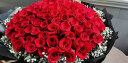 花锦集鲜花同城配送送女友生日礼物情人99朵红玫瑰花束33朵送老婆女神 99朵红玫瑰满天星 晒单实拍图