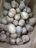 味小仙紫皮独头蒜干蒜 2025新蒜 独头大蒜头蔬菜 干珍珠独头蒜(2.0cm以下) 3斤 实拍图