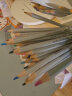 得力(deli)大师彩铅铁盒 水溶性彩色铅笔 学生美术专业手绘涂色绘画笔套装（附毛笔）48色 考试礼物6523五一出游六一儿童节 实拍图