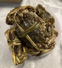 【礼券】姑苏渔歌大闸蟹礼券9888型公6.5两母4.5两5对螃蟹卡券团购礼盒礼品卡海鲜水产 实拍图