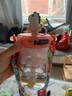 babycare恐龙冷萃儿童水杯吸管杯宝宝幼儿园元饮水上学专用杯子口杯家用 塔尔曼橙-500ml 500ml 实拍图