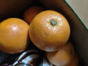 玖原农珍 赣南脐橙现摘新鲜榨汁水果橙子 年货水果礼盒 2.7斤-3斤普箱尝鲜果110-150g 实拍图